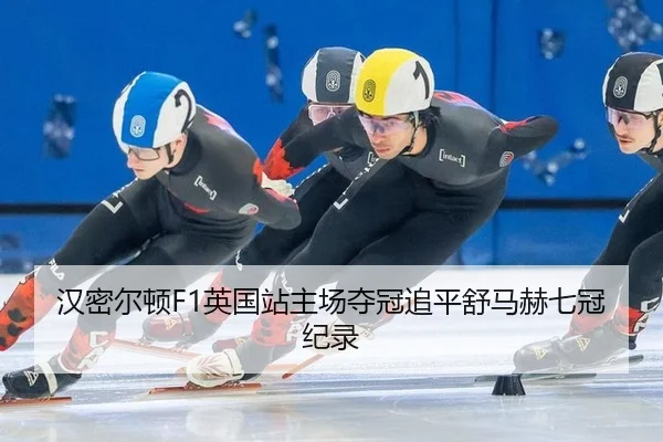 han-mi-er-dun-ying-guo-zhan-zhu-chang-duo-guan-zhui-ping-shu-ma-he-qi-guan-ji-lu-2-730.jpg