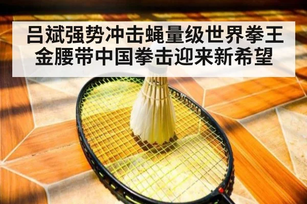 吕斌强势冲击蝇量级世界拳王金腰带中国拳击迎来新希望