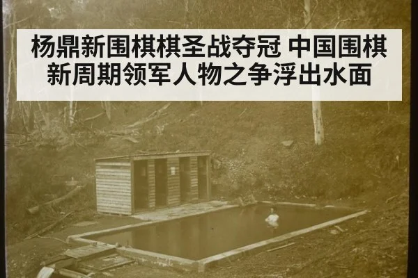 杨鼎新围棋棋圣战夺冠 中国围棋新周期领军人物之争浮出水面